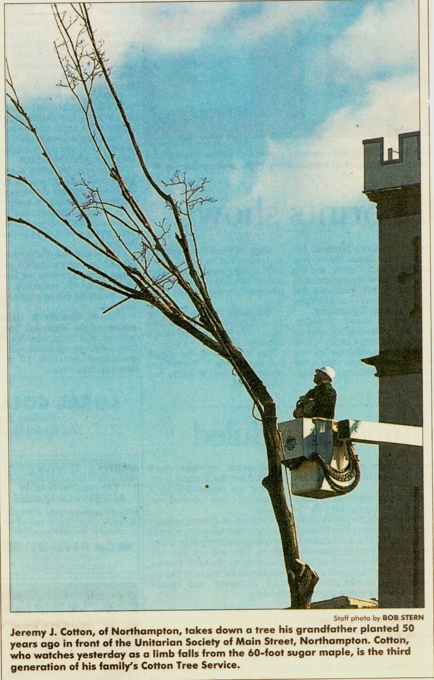 Lashco Tree Service LLC gallery 6